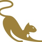 Venutti Calçados Femininos