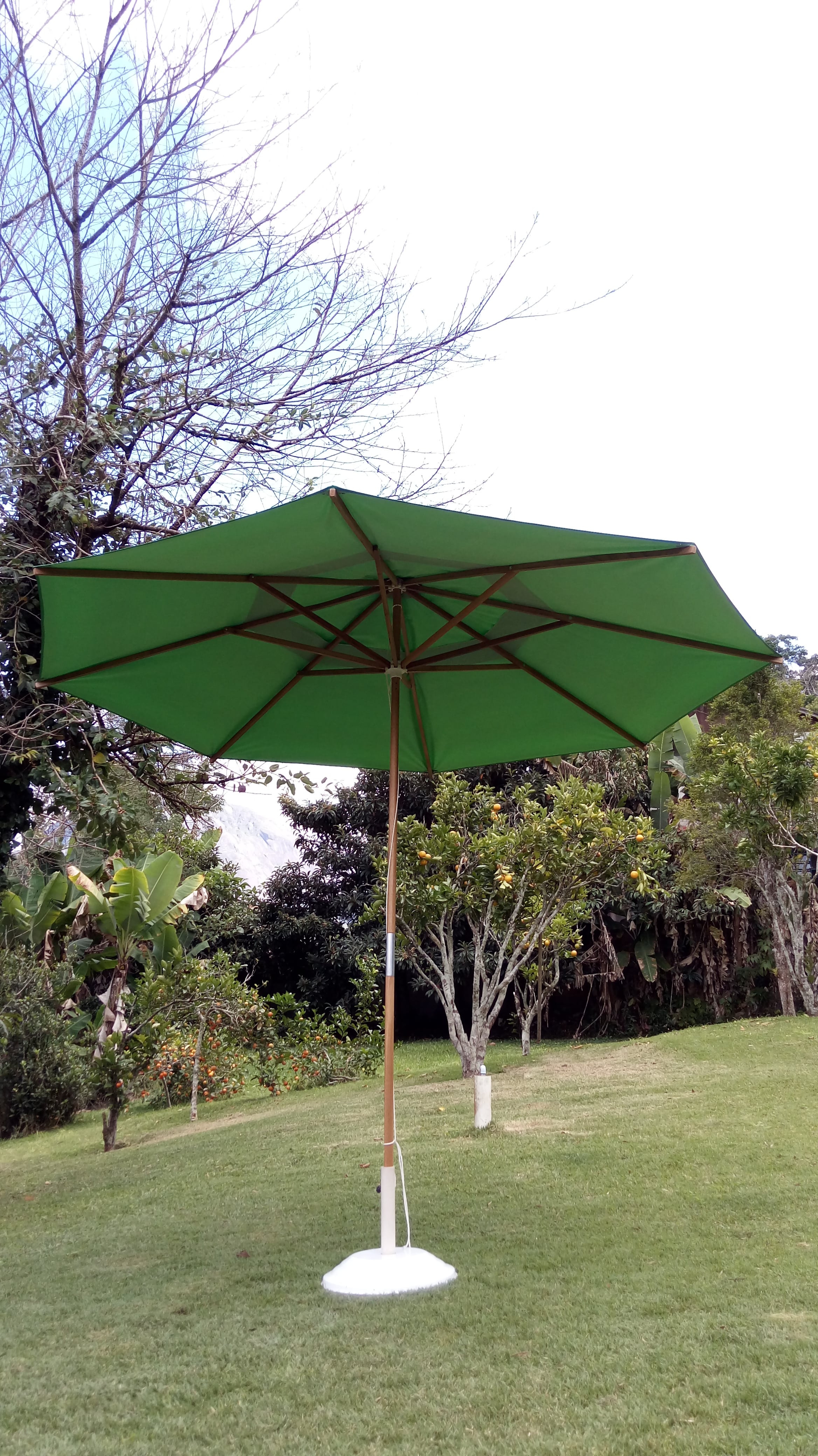 Ombrelones e Almofadas para cadeiras e espreguiçadeira 