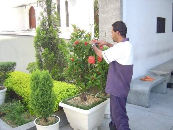 Serviços  Serviços